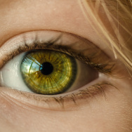 Afbeelding van een oog
